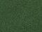 Wild Grass XL