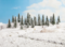 SSnow-covered firs, 25 pcs. 5-9 cm