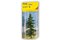 Caucasian Fir 18,5 cm high