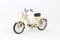 Jawa 50 Pionýr Pařez (1955) - Ivory