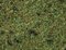 Scatter Grass “Forest Floor” 2,5 mm, 20 g