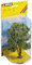 Strom Acacia 15cm - Profi serie