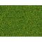 Posyp - okrasný trávnik 2,5mm, 20g