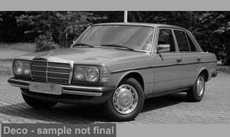 Mercedes 200 (W123) grün