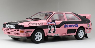 Audi Quattro A1 – #23 Cathy Caly
