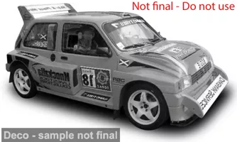 MG Metro 6R4 Donegal International Rally 2010 #18