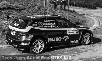 Skoda Fabia Rally2, Rally Japan