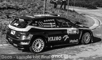 Škoda Fabia Rally2, Rally WM, 22, Rally Japan, 2024