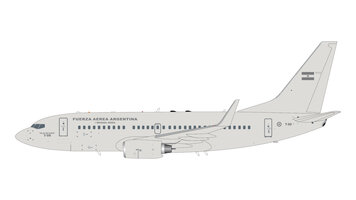 Boeing 737-700 Argentine Air Force / Fuerza Aérea Argentina 
