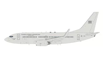 Boeing 737-700 Argentine Air Force / Fuerza Aérea Argentina 