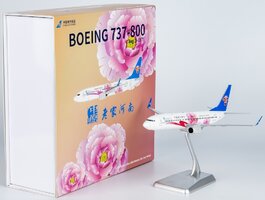 Boeing 737-800 China Southern Airlines Hometown Henan