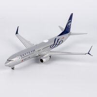 Boeing 737-800 Delta Air Lines Skyteam