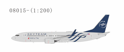 Boeing 737-800 Delta Air Lines Skyteam