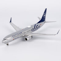 Boeing 737-800 Delta Air Lines Skyteam