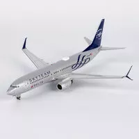 Boeing 737-800 Delta Air Lines Skyteam