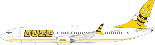 Boeing 737 MAX 8 Buzz