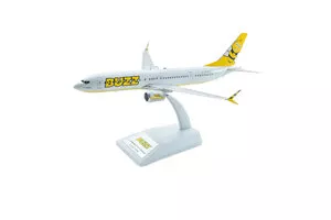 Boeing 737 Max 8 Buzz