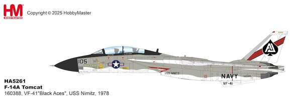 Grumman F14A Tomcat US Navy