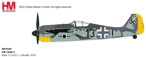 FW Luftwaffe Black 13, 8/JG.2