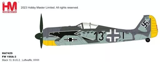 FW Luftwaffe Black 13, 8/JG.2