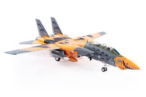 Grumman F14D Tomcat Ace Combat, "Pumpkin Face"