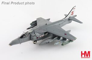 Harrier GR.9A , 41 (R) Sqn., RAF Coningsby Air Base, March 2006