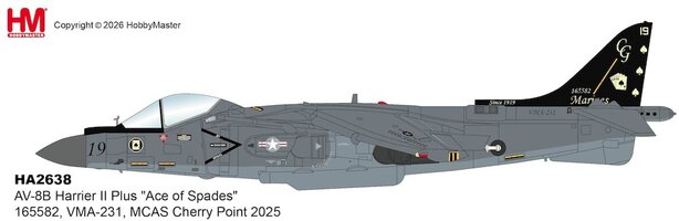Harrier II Plus AV-8B "Ace of Spades"