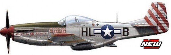 P51D Mustang Roca Aircraft Fighter 7th Squadron, 5th Fighter Group, Captain Cheng Sung Ting 1948