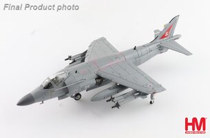 Sea Harrier FA.2, Royal Navy, Fairford 2002