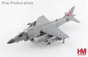 Sea Harrier FA.2, Royal Navy, Fairford 2002