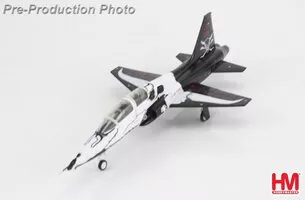 T38C Talon "FAIP scheme" 87th FTS