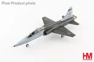 T38C Talon USAF,  49th FTS "Black Knights", Moody AFB, Georgia 2006