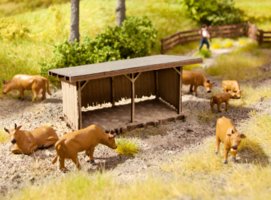 cattle shed