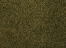 Foliage wild grass, olive green