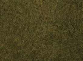 Foliáž divoká tráva, olivově zelená