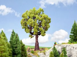 Tree- Oak - 19cm