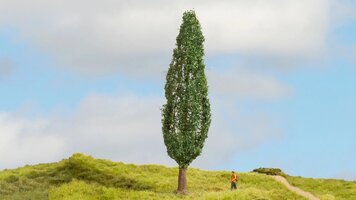 Baum - Pappel 18 cm