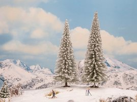 Snowy Fir Trees