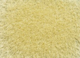 Divoká tráva Zlatožltá, 9 mm, 50 g vrecko