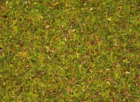 Posyp - Kvitnúca lúka 2,5 mm, 120 g