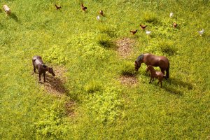 Vegetation Starter Set "Meadow"