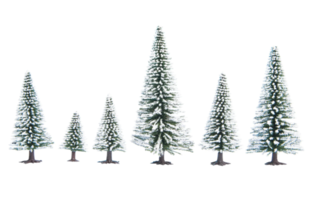 Snowy fir trees