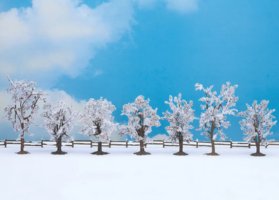 Winter trees