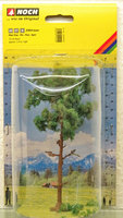 Strom Borovice 15cm - Profi serie