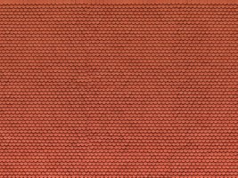 3D Karton Platte „Biberschwanz“ red