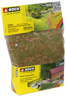 Master grass mix "Alpine meadow "