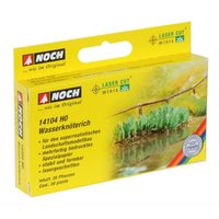 Water Smartweed 20 plants