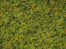 Master Grass Blend “Cow Pasture” 2,5 bis 6 mm, 50 g