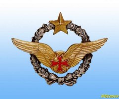 Originalny odznak -  French Air Force Escort Pilot Wings