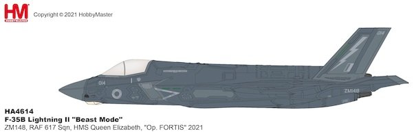 F35B Lightning II,  Royal Air Force HMS Queen Elizabeth Operation Fortis 2022